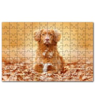 Cakapuzzle Sonbahar Yaprakları Üzerindeki Köpek Puzzle Yapboz MDF (Ahşap) (120 Parça)