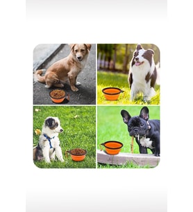 Taşıma Aparatlı Katlanabilir Seyahat Silikon Kedi Köpek Mama ve Su Kabı,12 oz 350ml (Karışık)