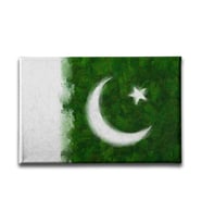 Pakistan Bayrağı Kanvas Tablo ABY107