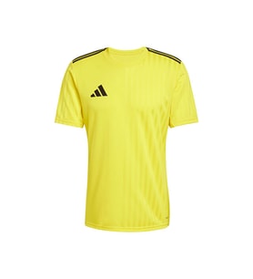 Campeon25 Jsy M Erkek Futbol Antrenman Forması JF6060 Sarı