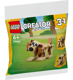 Lego Creator 30666 Creator Hediye Hayvanlar (Çok Renkli)