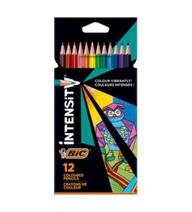 Bic Intensity Kuru Boya Kalemi 12 li