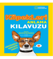 Kids - Köpekleri Anlama Kıluzu