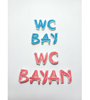 İtalik Yazılı Alçı Harflerden Bay Bayan WC Yazısı