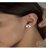 S-warovski Crystal Taşlı Gümüş Çivili Kadın Küpe