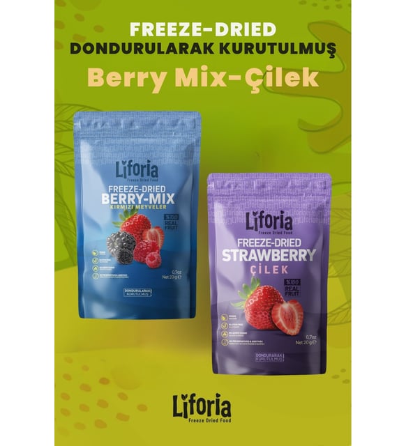 6'lı Dondurulmuş Meyve - Sağlıklı Atıştırmalık - Çilek Mango İncir
