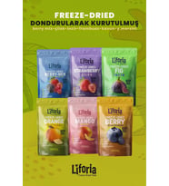 6’lı Dondurulmuş Meyve - Sağlıklı Atıştırmalık - Çilek Mango İncir Yaban Mersini Berry Mix Portakal