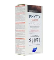 Phyto Color Saç Boyası 6.34 Koyu Kumral Dore Bakır