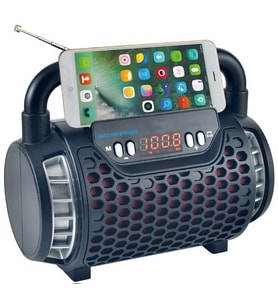 Concord FP138S Bt/Fm/Usb Solar Energy Bluetooth Hoparlör