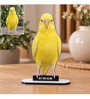 Kişiye Özel Evcil Hayvan Fotoğraflı MDF Karikatürlü 18 cm MDF Masaüstü Biblo - Masaüstü Hediye 5. Model