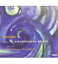 (Plak Değildir CD dir) CD İncesaz 6 Kalbimdeki Deniz CD