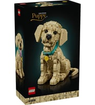 LEGO Icons 11384 Golden Retriever Puppy