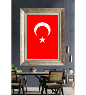 GÜMÜŞ ÇERÇEVELİ PASPARTULU TABLO V175