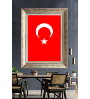 GÜMÜŞ ÇERÇEVELİ PASPARTULU TABLO V175