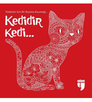 Kedidir Kedi...
