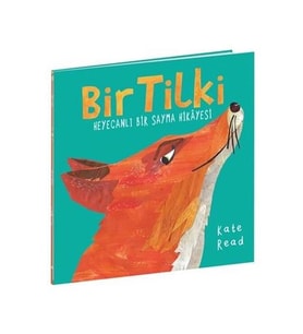 Bir Tilki Heyecanlı Bir Sayma Hikayesi Kate Read Beta Kids