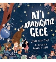 Ay'ı Aradığımız Gece