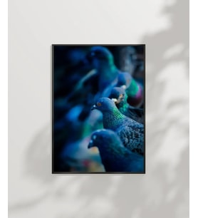 Mavi Güvercinler Poster