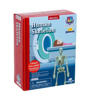 Bilim Seti : İnsan İskeleti