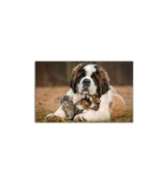 Köpek Ve Yavru Kediler Tablo - 106804 - 40x30 Cm