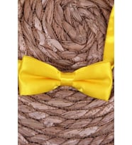 Breeze Erkek Çocuk Papyon Standart, Sarı
