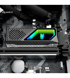 DLG ARGB Senkron Işıklı M.2 NVMe SSD Soğutucu - Siyah Renk Özel Seri