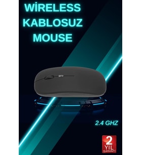 Pg-908 Mouse - Lisinya