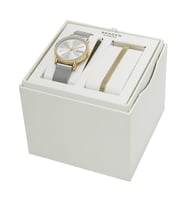 Skagen SKW3153SET Kadın Kol Saati (Gümüş)