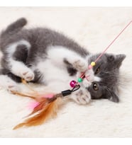 Kedi Oyun Oltası 90 cm