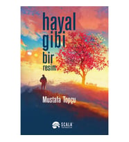 Hayal Gibi Bir Resim