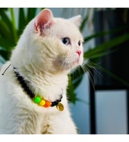 GAD 3 Renk Top Kedi Köpek Kolyesi
