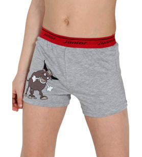 Erkek Çocuk Boxer (Desenli)