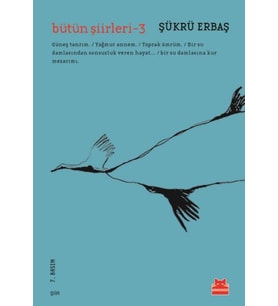 Bütün Şiirleri 3