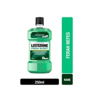 Listerine Fresh Burst Ferah Nane Ağız Bakım Suyu 250 ml ( TEKLİDİR )