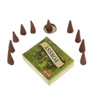 FOREST - ORMAN - CONES TÜTSÜ