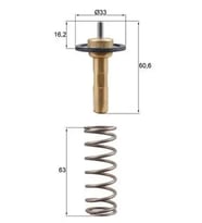 MAHLE TX31190D Termostat 31293556