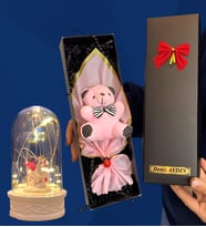 Size Özel İsimli Kutuda Pembe Peluş Ayıcık ve Led Işıklı Biblolu Fanus (Model 1)