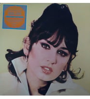 Sezen Aksu Allahaısmarladık LP Plak (Karışık)