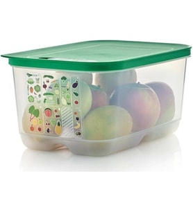 Tupperware Sera Buzdolabı Saklama Kabı 4.4 Lt