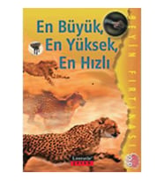 En Büyük, En Yüksek, En Hızlı / Beyin Fırtınası