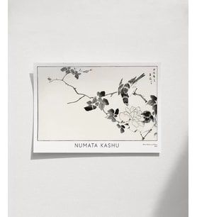 Çerçevesiz Poster Numata Kashu Kızılgerdan ve Gül