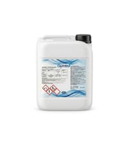 Bestway İntex Havuzlarla Uyumlu Quardex 5 Lt Yosun Önleyici