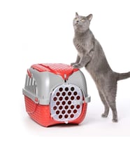Bama Köpekler ve Kediler İçin Transporter Kırmızı 52x33x34 cm