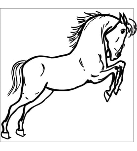 AT FOLYO STİCKER 130cm Uzunluk (Karışık)