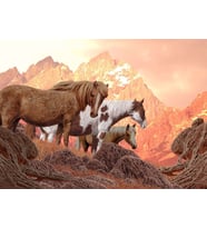 Nova 1000 Parça Puzzle - Vahşi Atlar