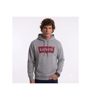 pamuk kapüşonlu gri erkek sweat Standard Graphic Hoodie