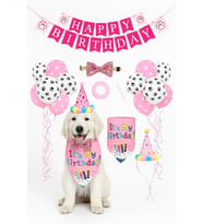 Köpek Kedi Doğum Günü Seti Bandana Şapka Afiş Parti Dekorasyonu, Şapyon Tasma Aksesuarı, Erkek ve Dişi Evcil Hayvanlar İçin (Pembe)