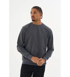 Süperlife Erkek Gri Bisiklet Yaka Ribanalı Regular Fit Sweatshirt spr26swk930