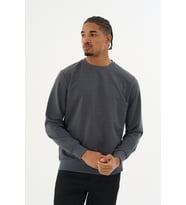 Süperlife Erkek Gri Bisiklet Yaka Ribanalı Regular Fit Sweatshirt spr26swk930 (Antrasit)