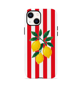 iPhone 15 Vorian Çift Katmanlı MagSafe Kılıf Lemon Parade Red